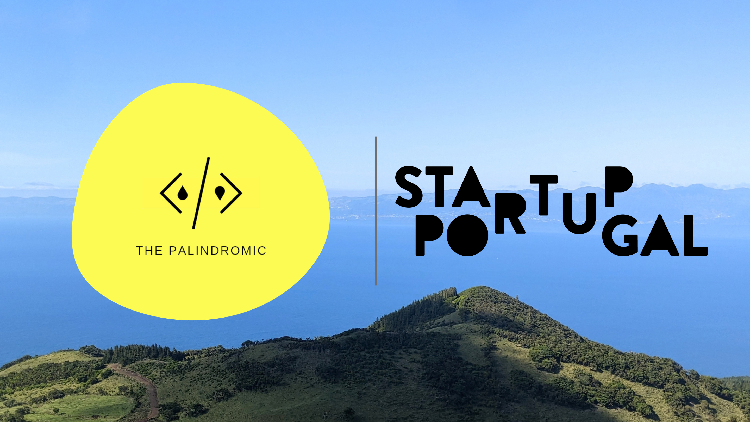  The Palindromic formally recognised as a Startup in Portugal
