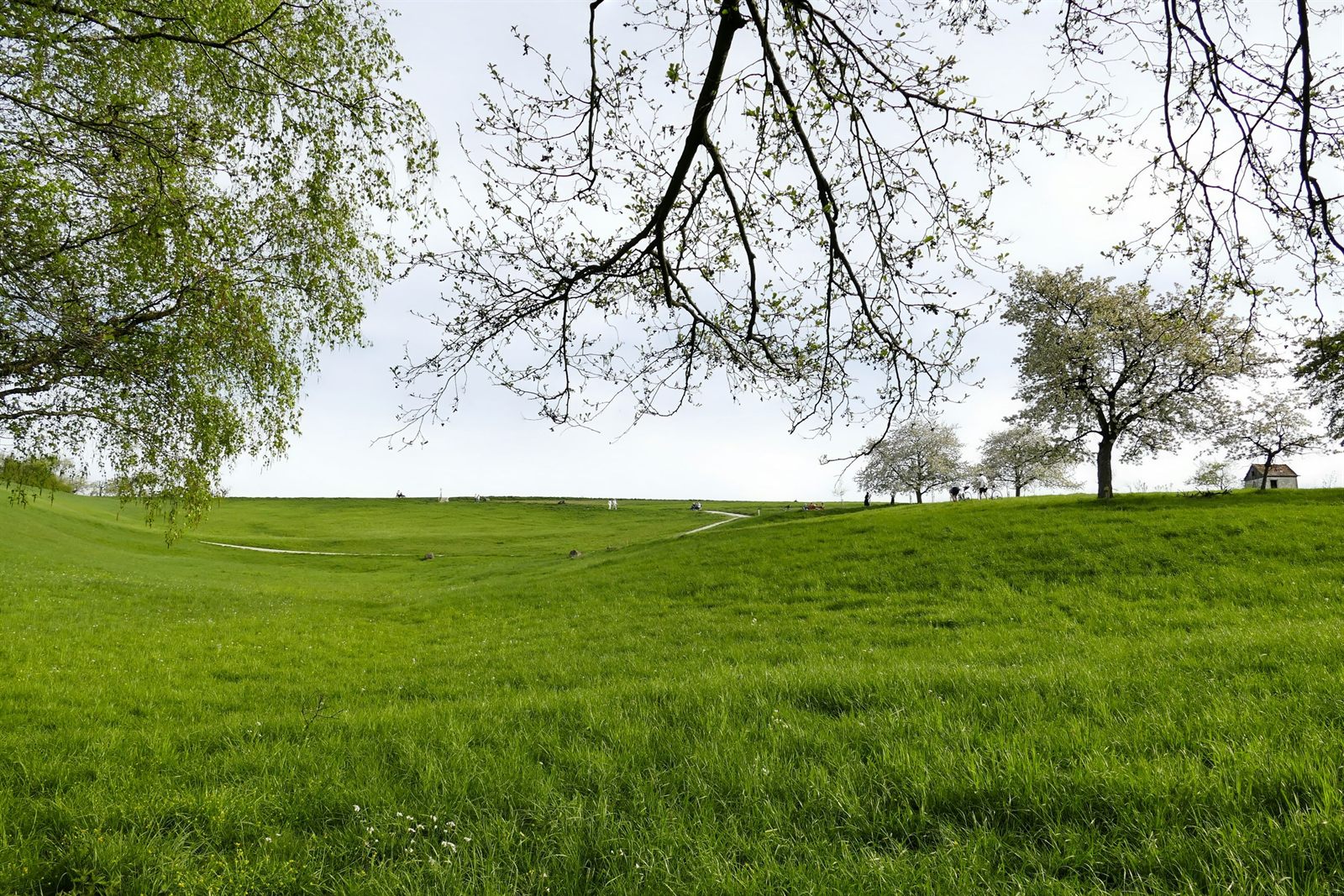Sustainable Architecture Trends We Anticipate for 2025