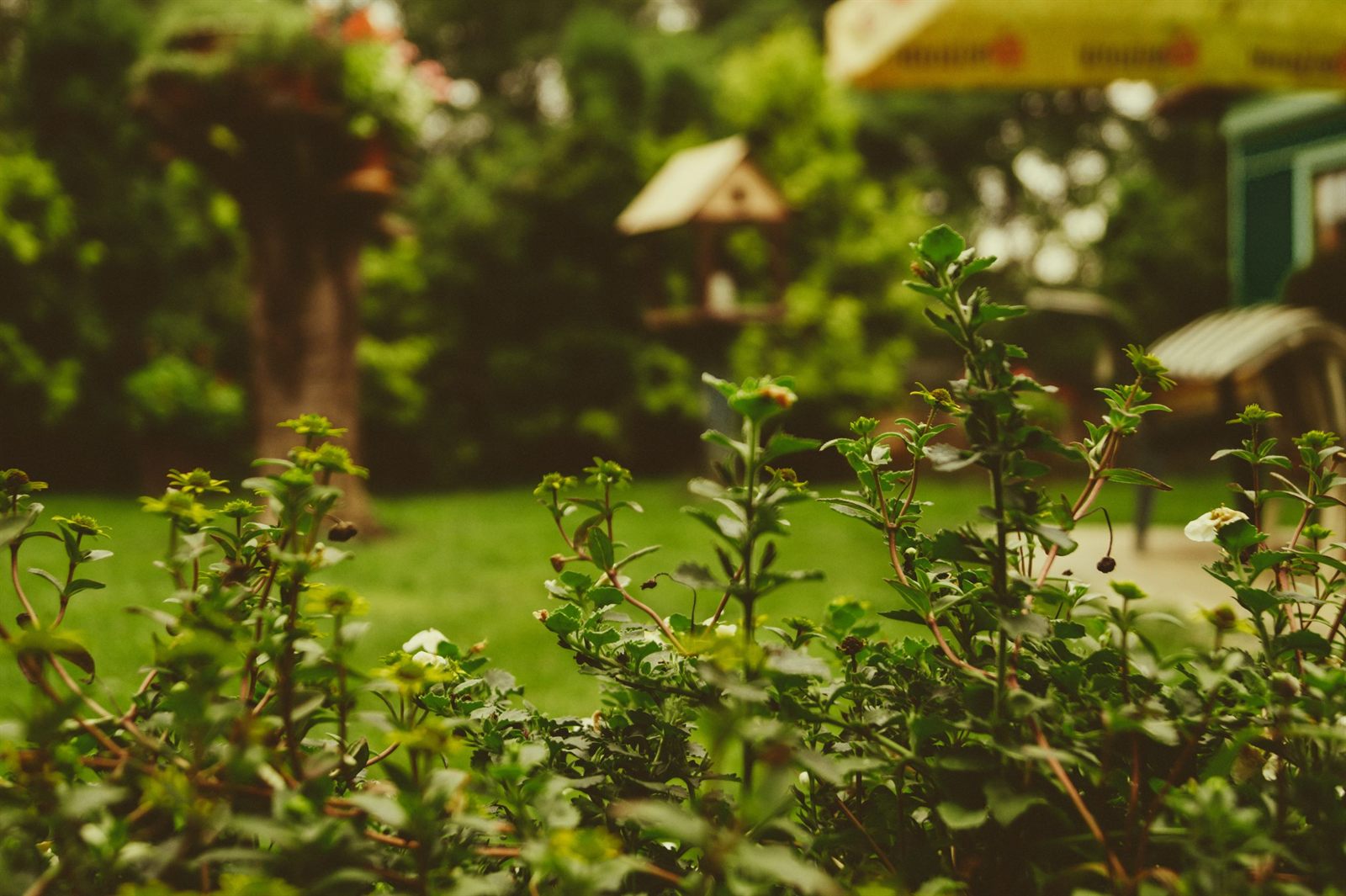 How to Spot Sustainable Features in a New Home