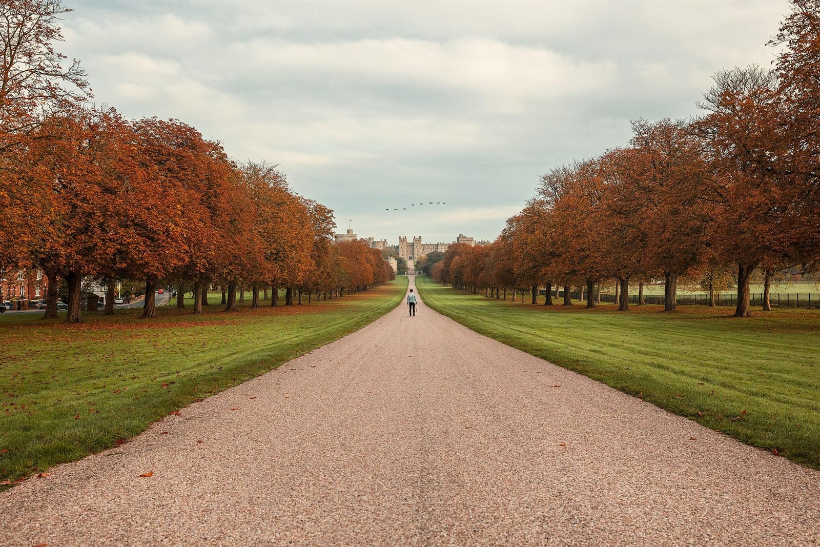 Scenario's Services for Newbuilds in Berkshire