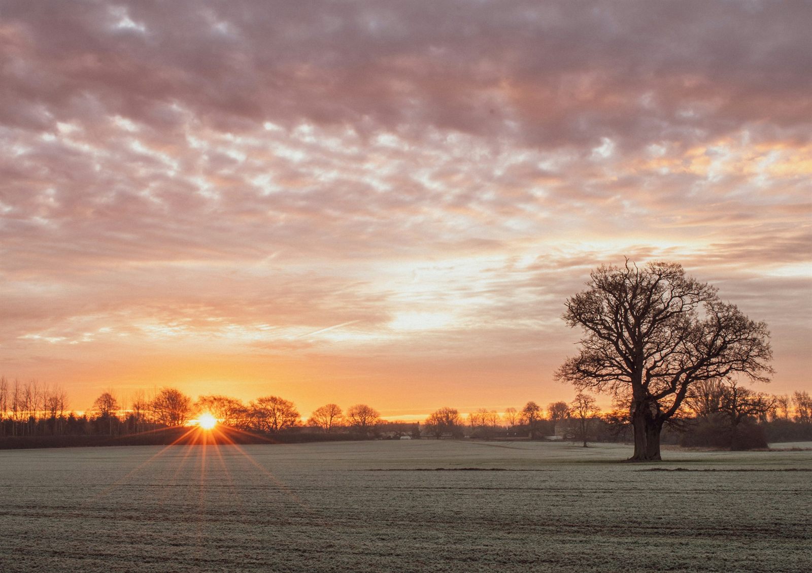 Buckinghamshire Homes in the Green Belt: How to Design