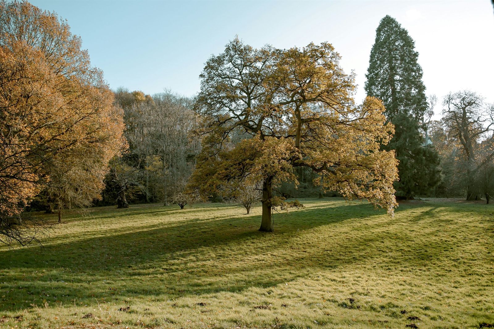 architects in buckinghamshire