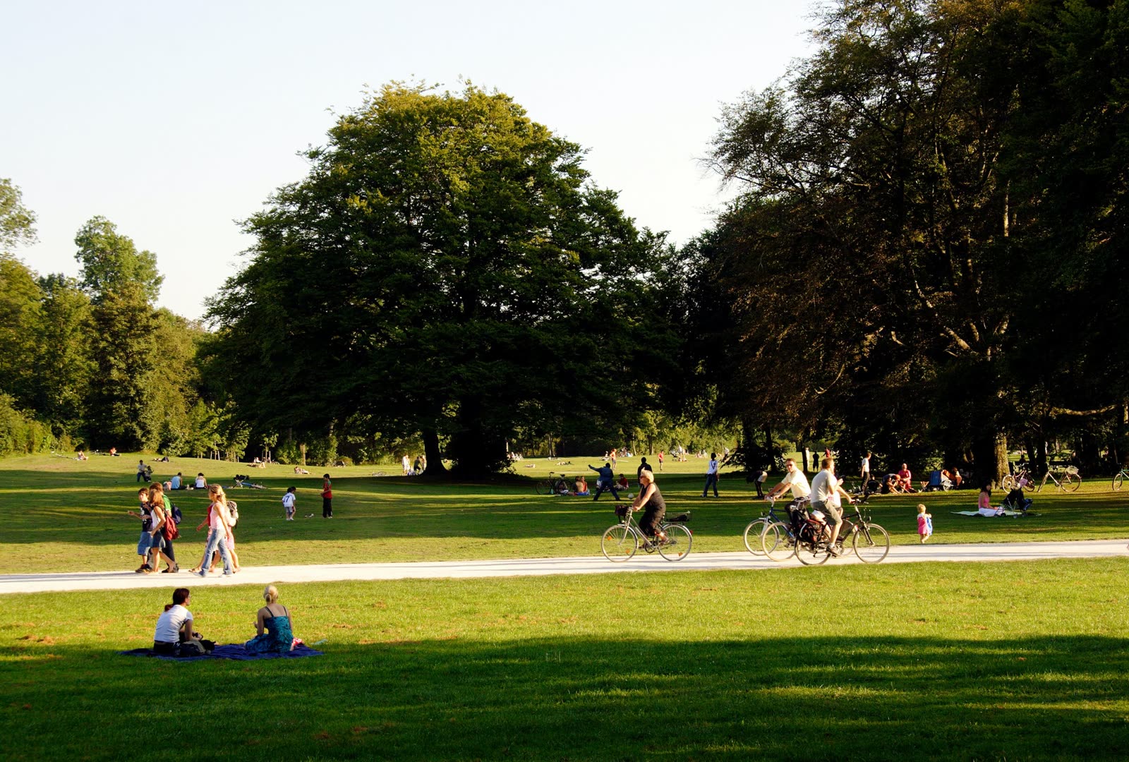 Mature trees in a summer park with people walking and cycling