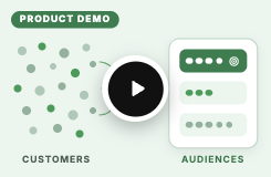 Audience Segmentation