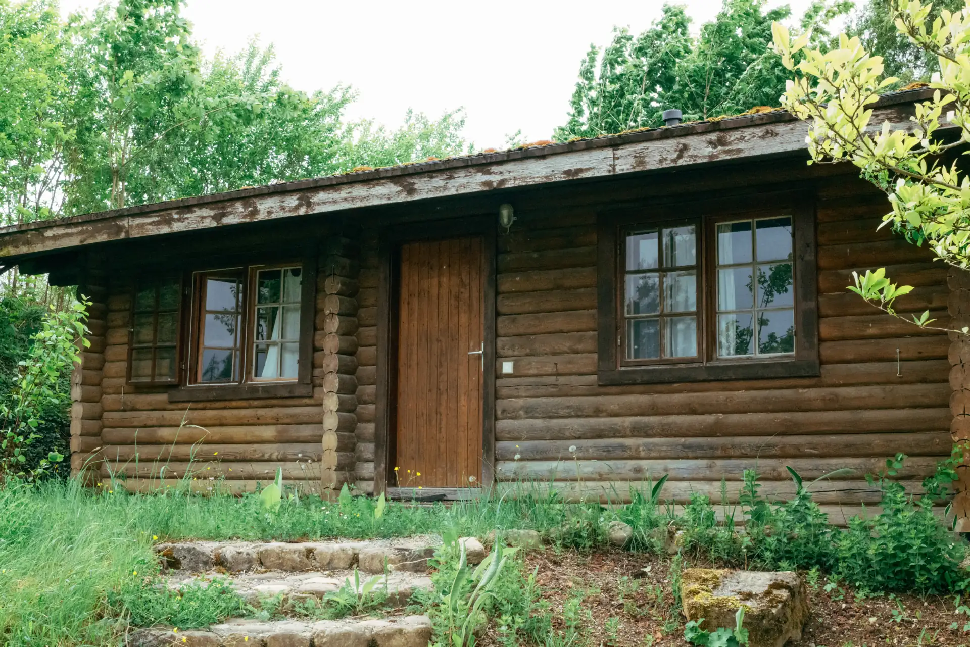 Ein kleines Blockhaus mit brauner Holztür, zwei Fenstern mit Glasscheiben, umgeben von grünem Gras, Pflanzen und Büschen.