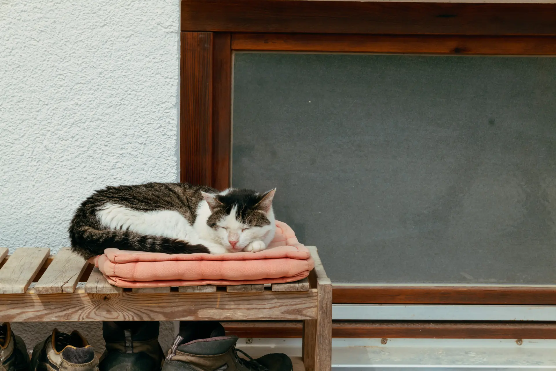 Eine schwarz-weiß gestreifte Katze schläft auf einem zusammgefalteten orangefarbenen Polster, das auf einer hölzernen Bank vor einem Fenster liegt, unter der die Schuhe stehen.