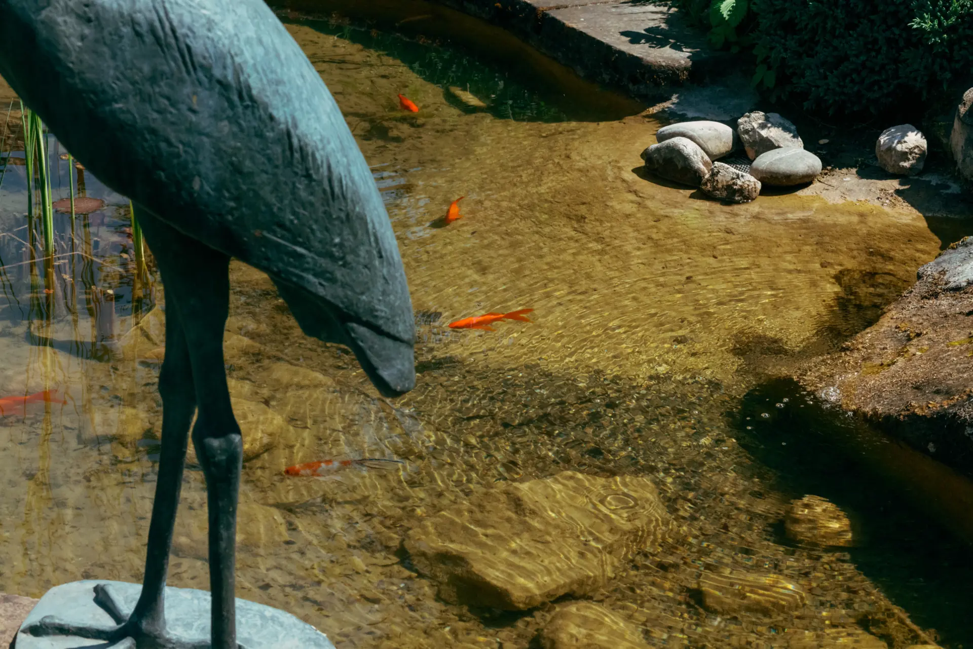 Skulptur eines Vogels mit geneigtem Kopf über einem Teich mit klarem Wasser, in dem orangefarbene Fische schwimmen; Steine und Pflanzen sind am Rand sichtbar.