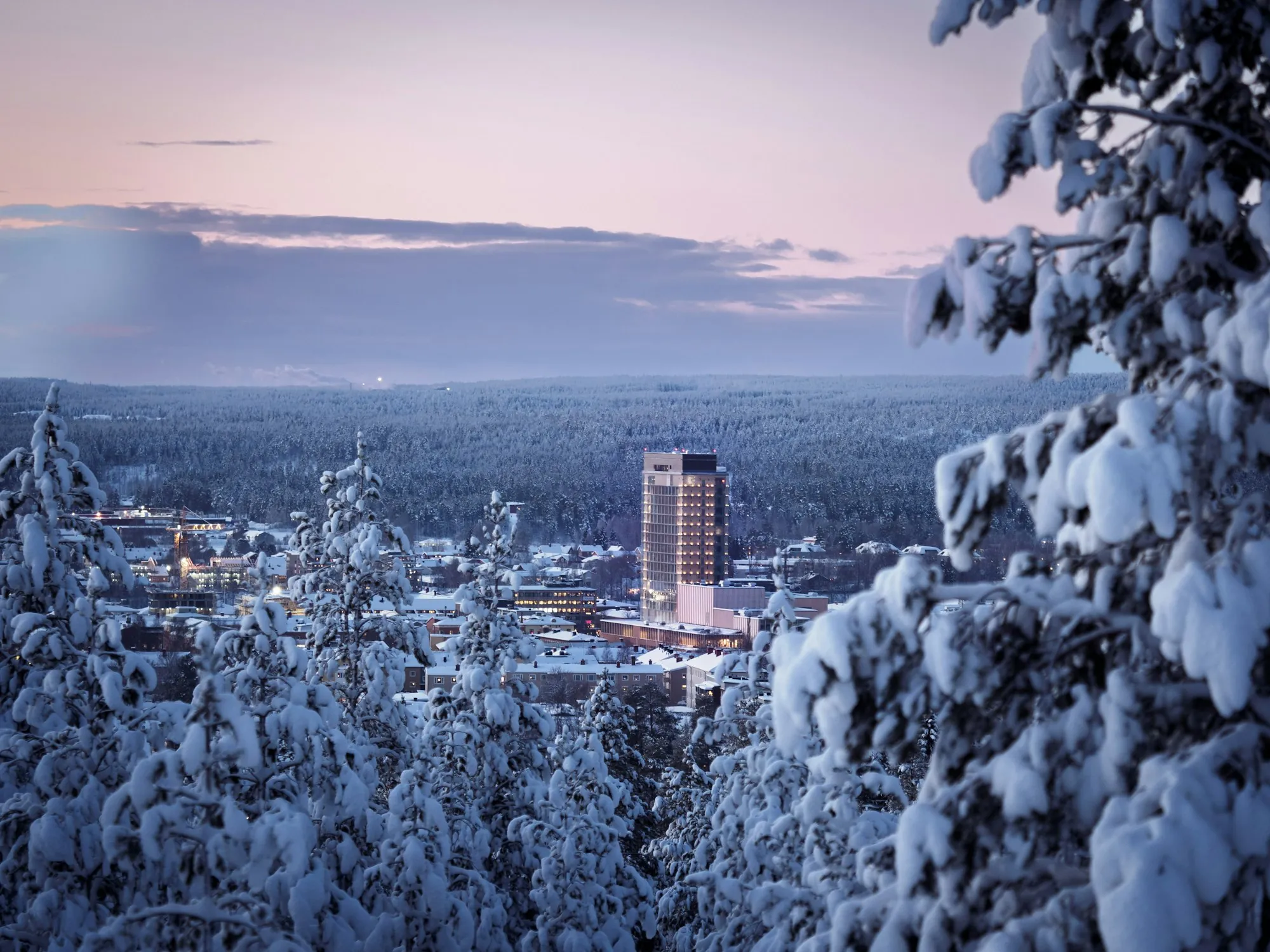 Skellefteå i vinterskymning sett mellan snötäckta granar