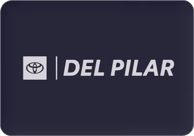 Logo Del Pilar