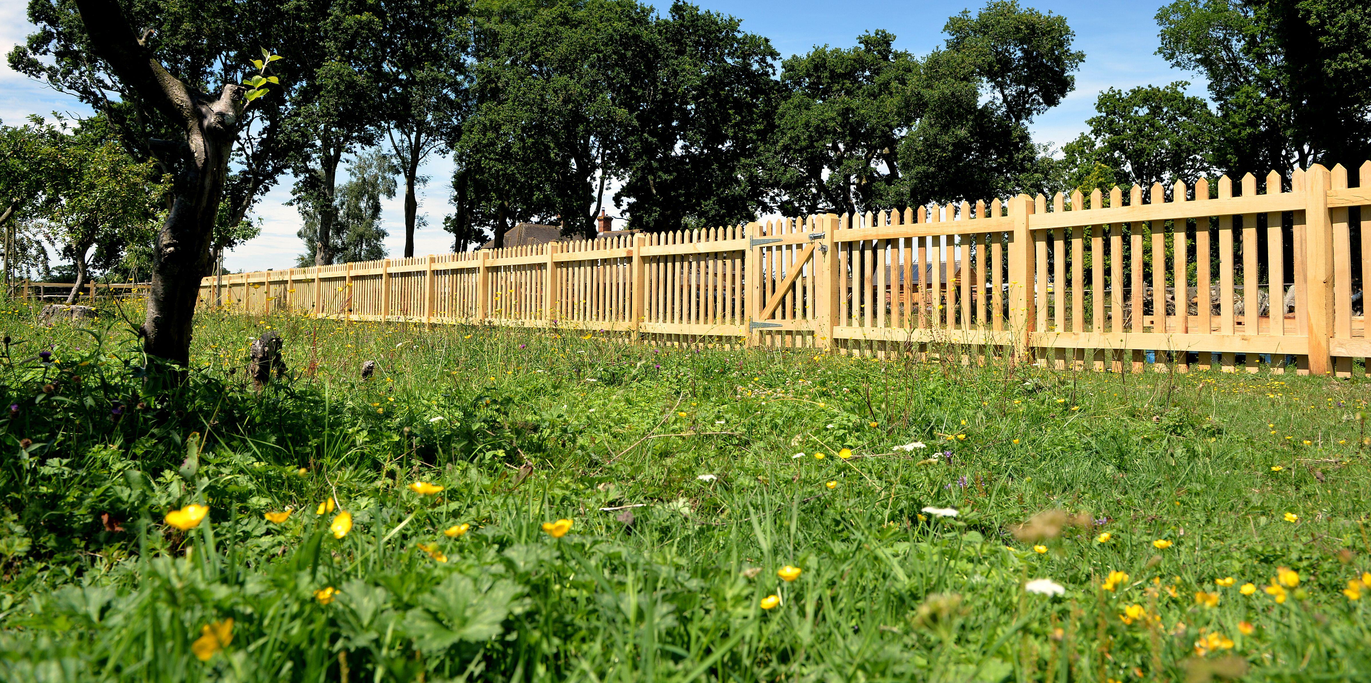 image of pathways in a garden park