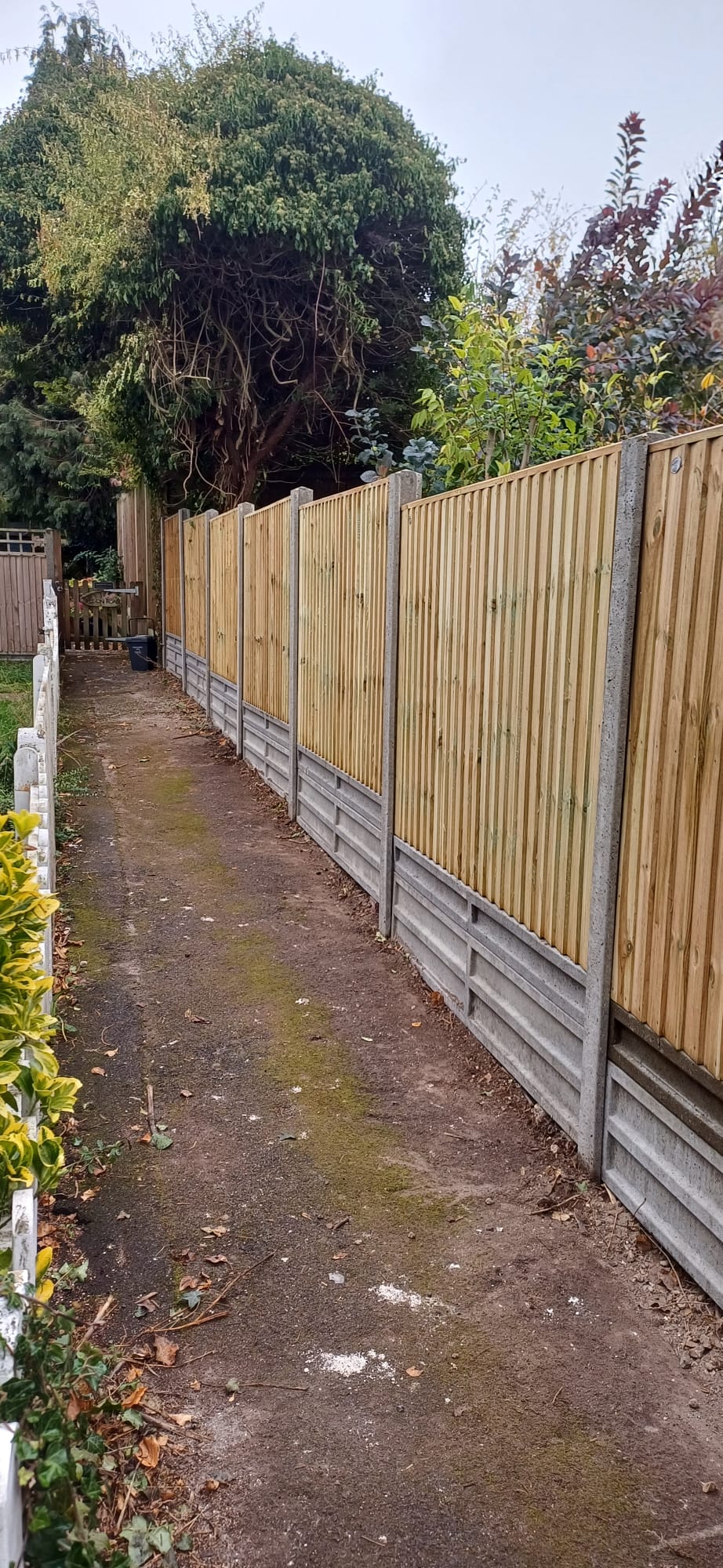 image of outdoor space (for a productivity tools business)