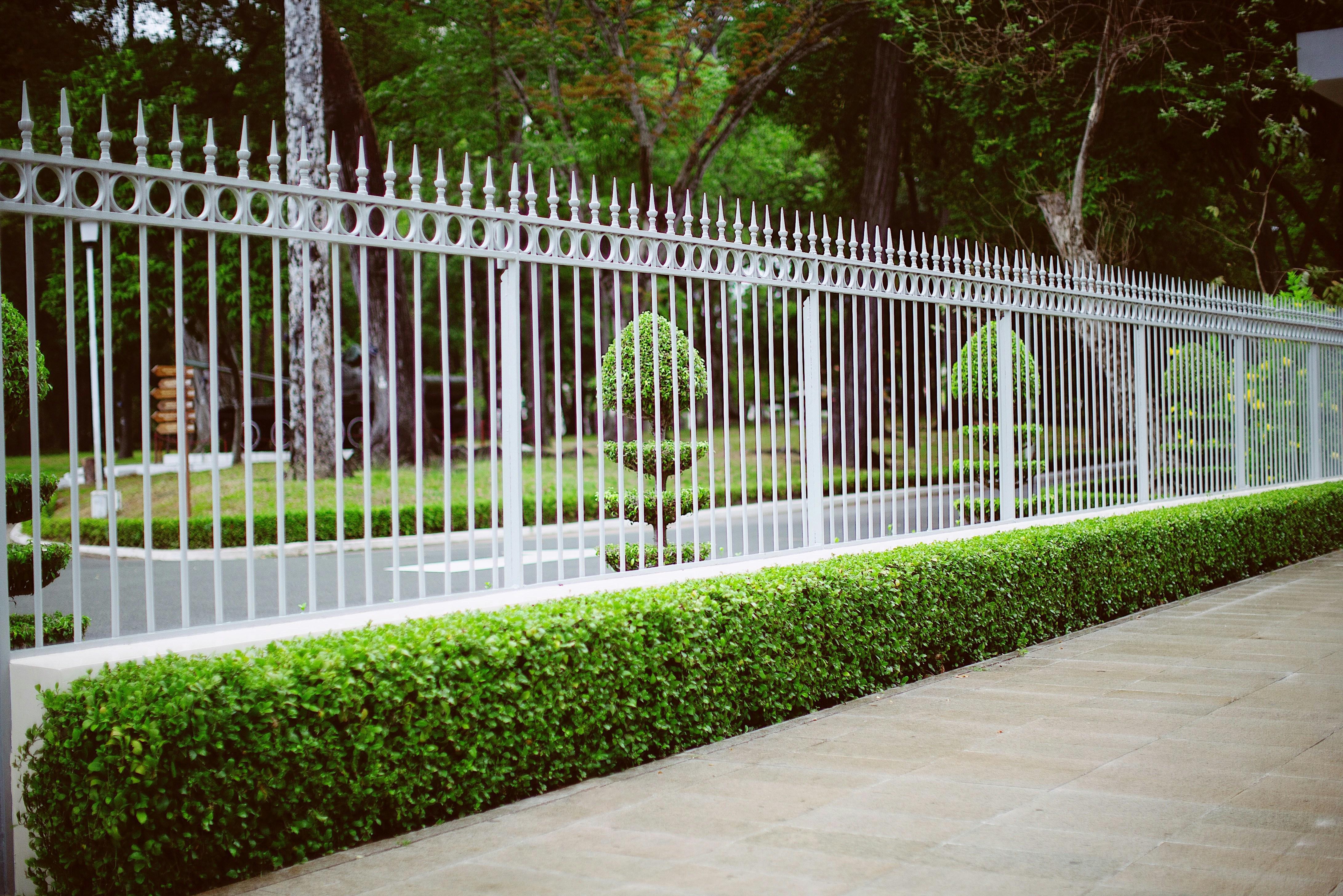 image of pathways in a garden park