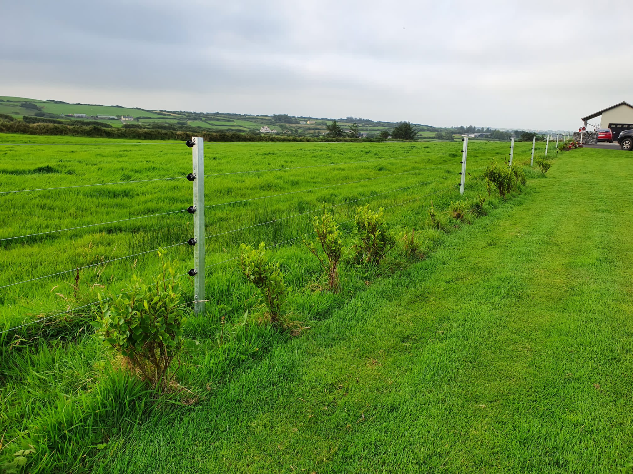 image of pathways in a garden park