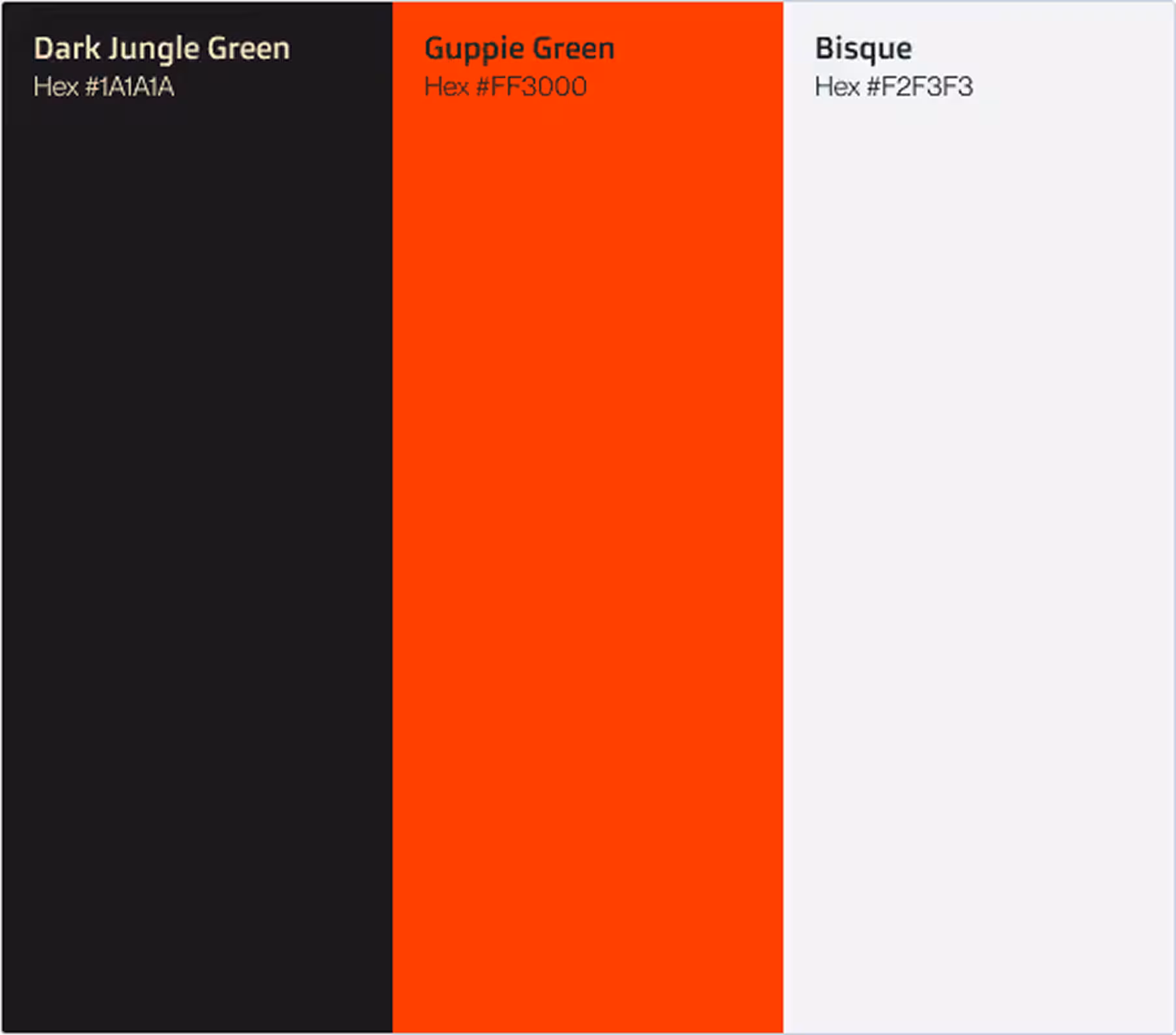 How I did the project images