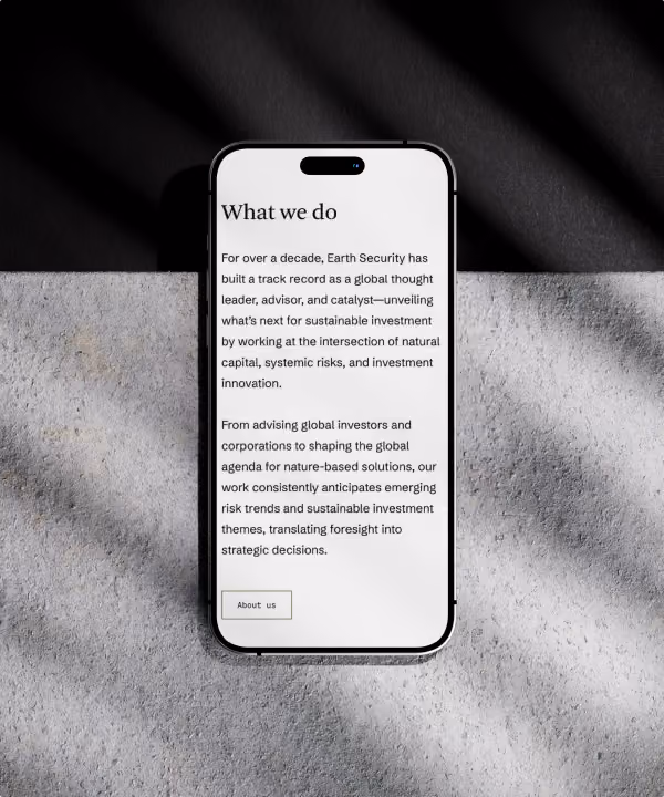 Project Overview Images