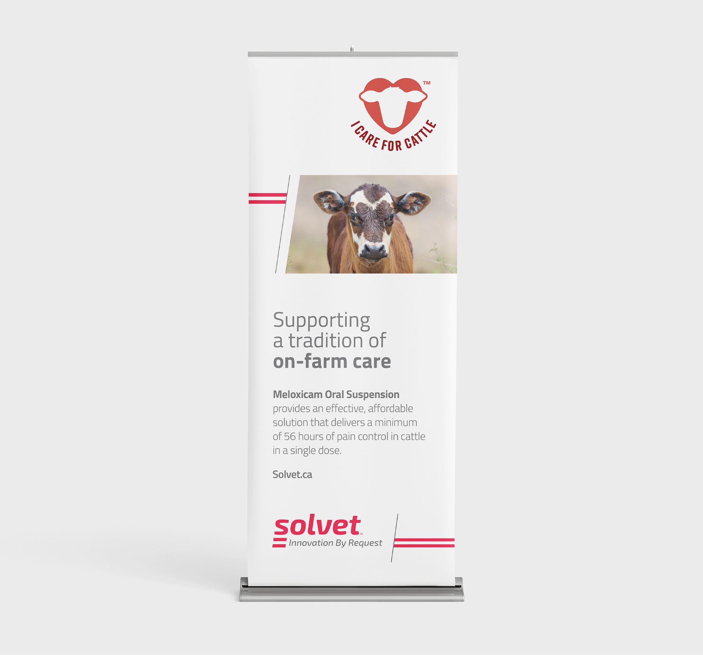 solvet-icfc