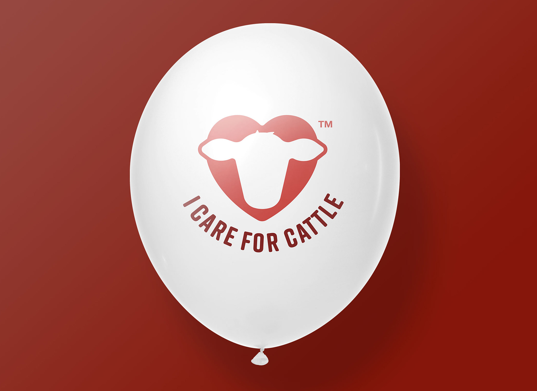 Solvet ICFC campaign — brand communications for cattle producers and animal welfare