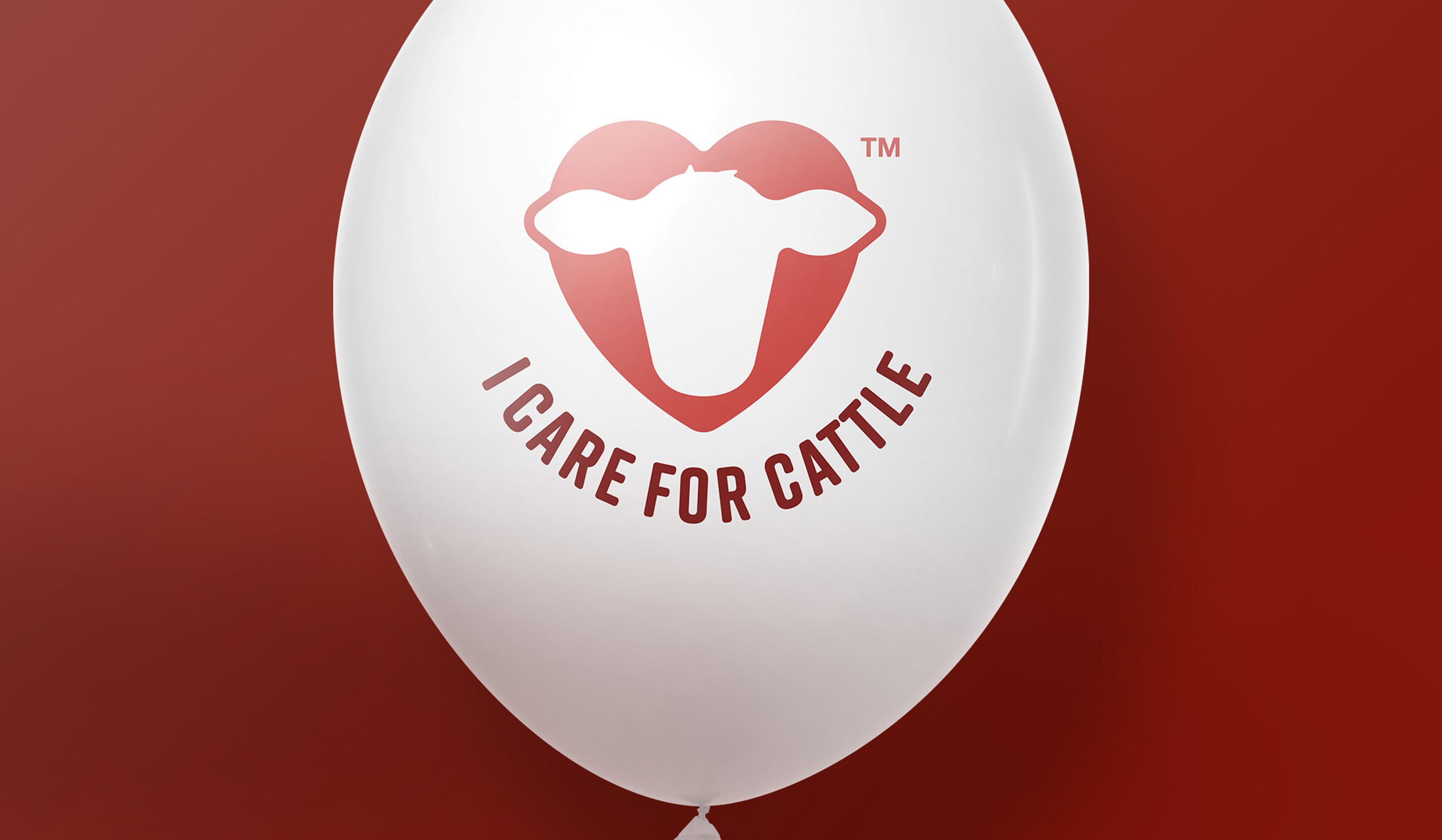 Solvet ICFC campaign — brand communications for cattle producers and animal welfare