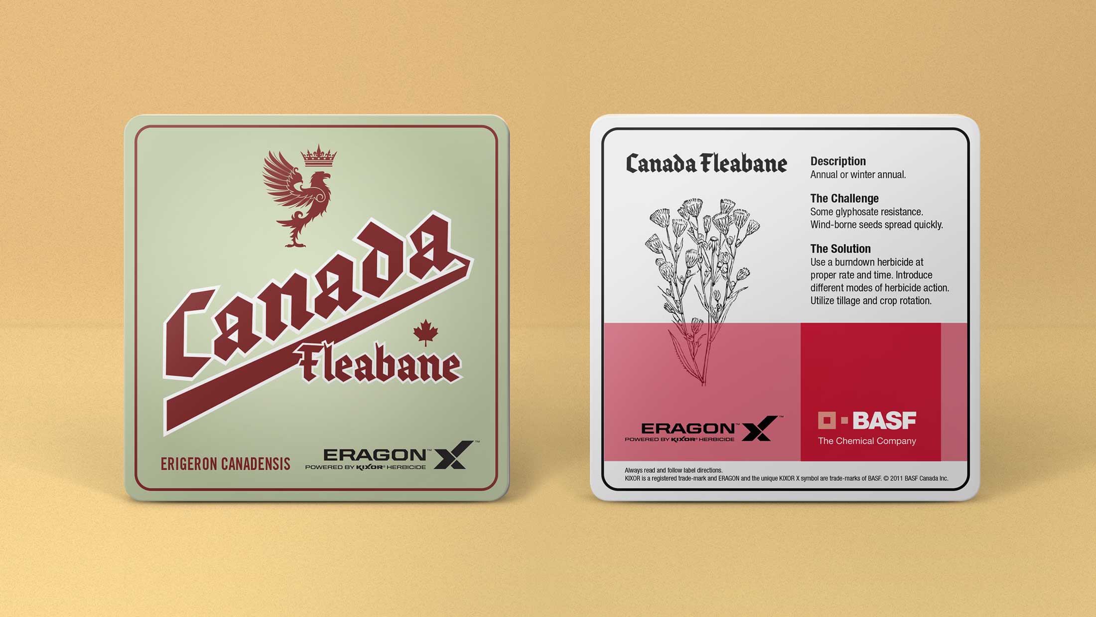 BASF Crop Enemy Coaster fleabane