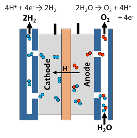 How a Hydrogen Fuel Cell Works