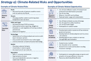 Task Force on Climate-related Financial Disclosures–Strategy