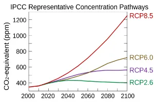 Representative Concentration Pathways