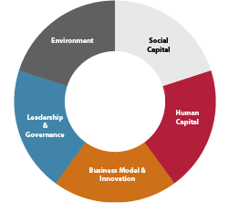 SASB Business General Issue: Model & Innovation