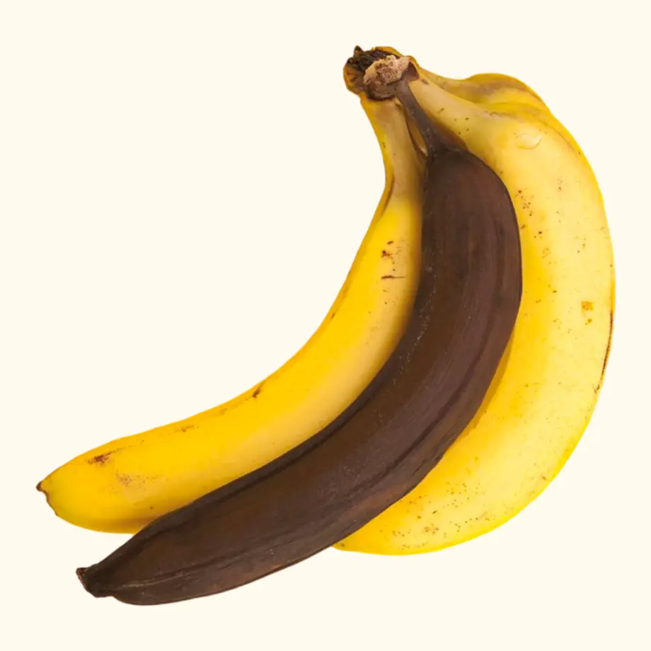 A bunch of bananas: two still yellow, one fully brown and overripe