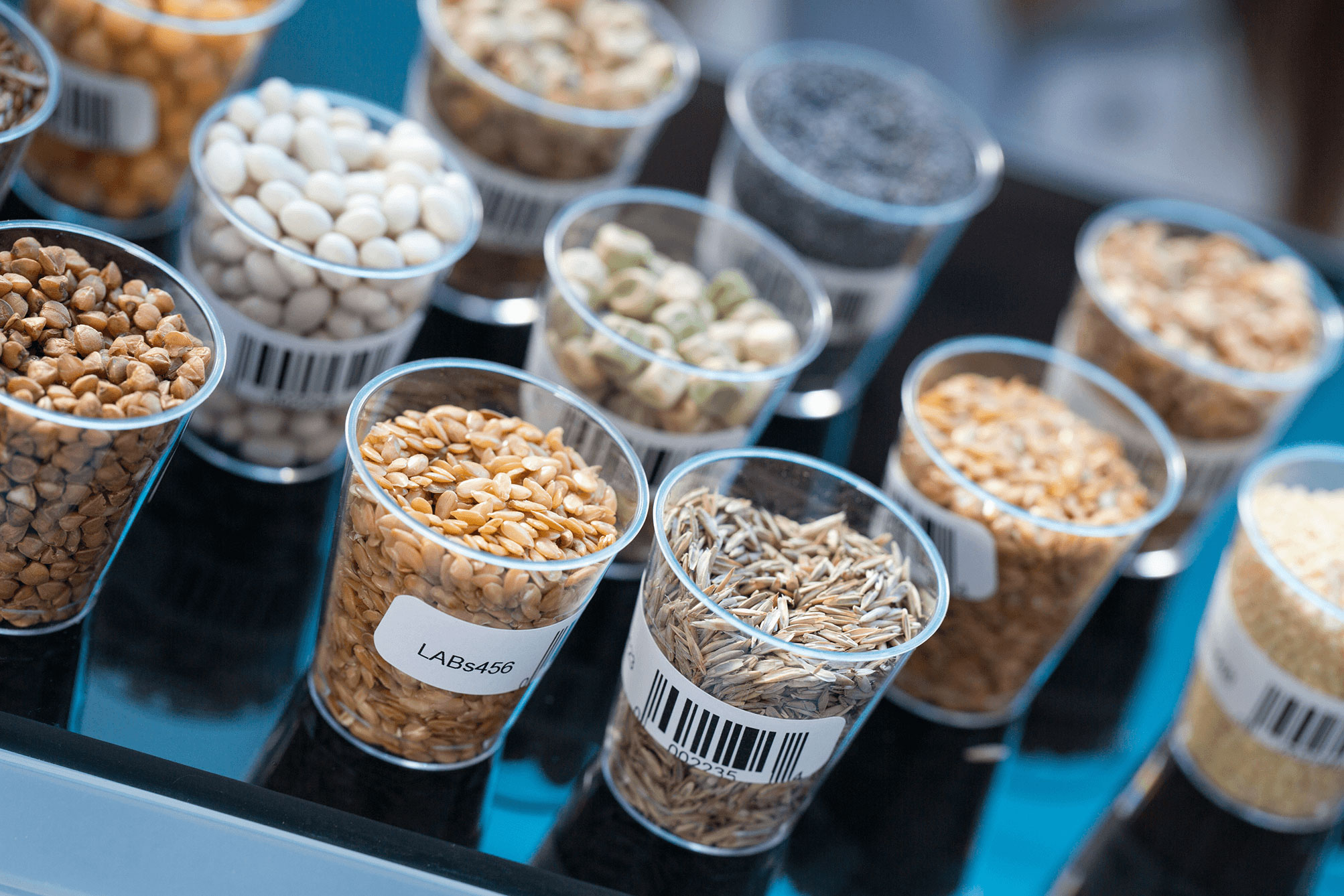 Clear cups filled with various grains and seeds on a reflective surface, labeled with barcodes.