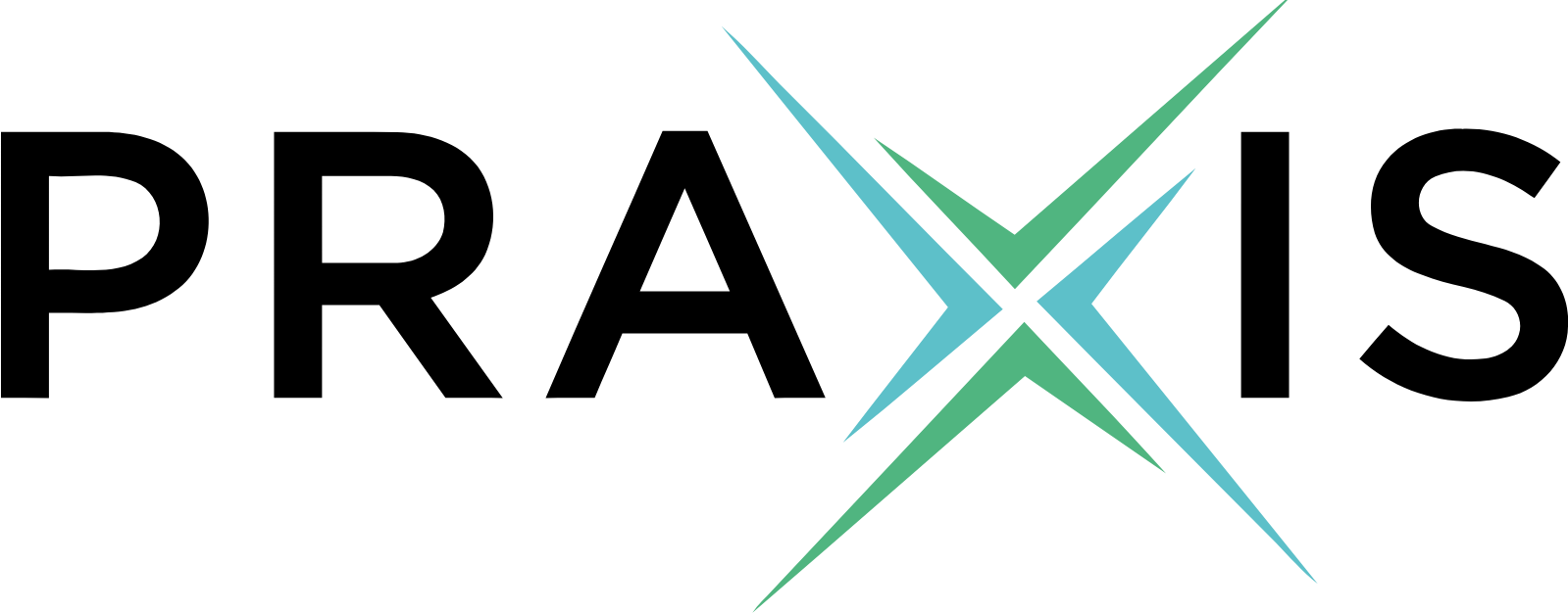 Praxis Precision Medicines