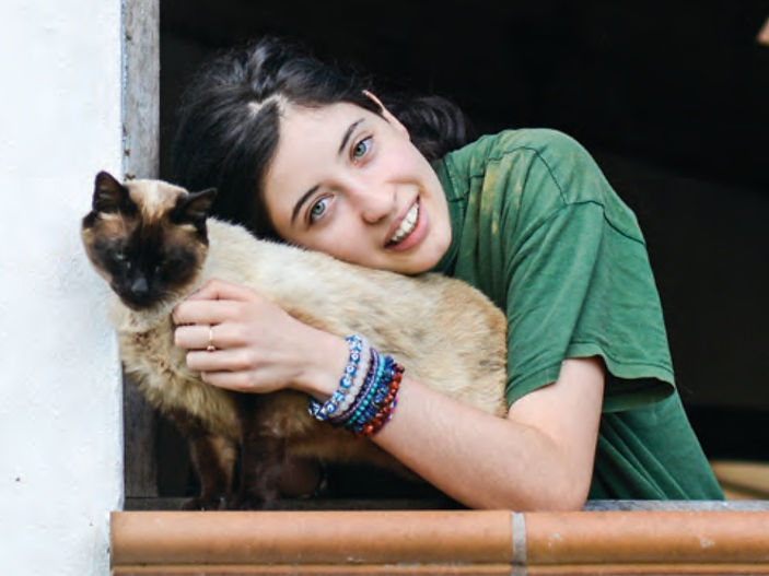 1 in 3 pets are homeless, new global report reveals scale of crisis