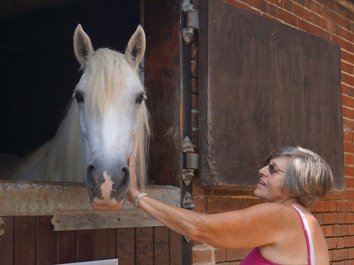Redwings Horse Sanctuary celebrates 40th Anniversary