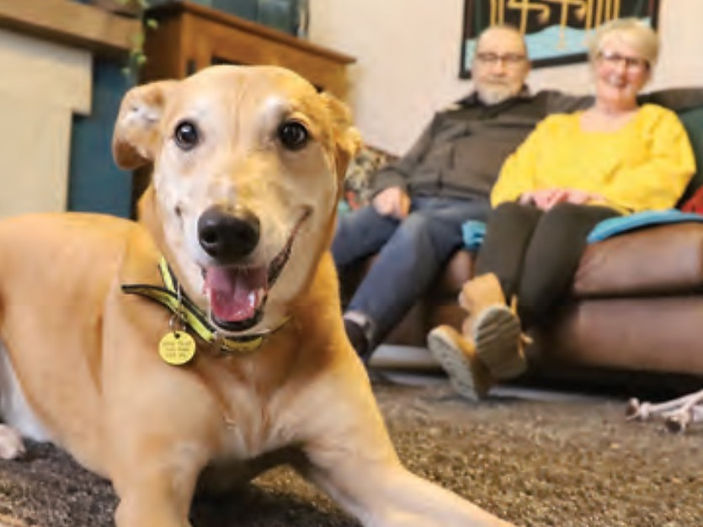 Britain's most unwanted dog finally finds his forever home