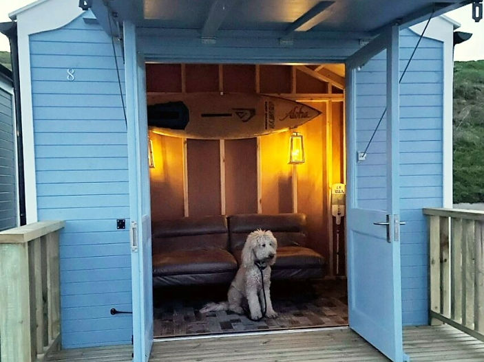 The rise of the 'hut dog': beach hut holidays surge in popularity