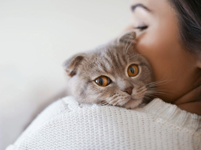 Why cats meow at humans more than each other