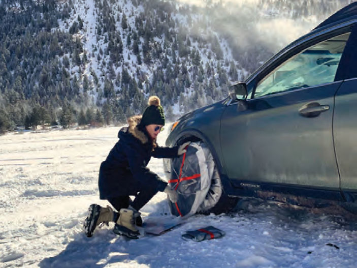 How to travel safely with pets in winter
