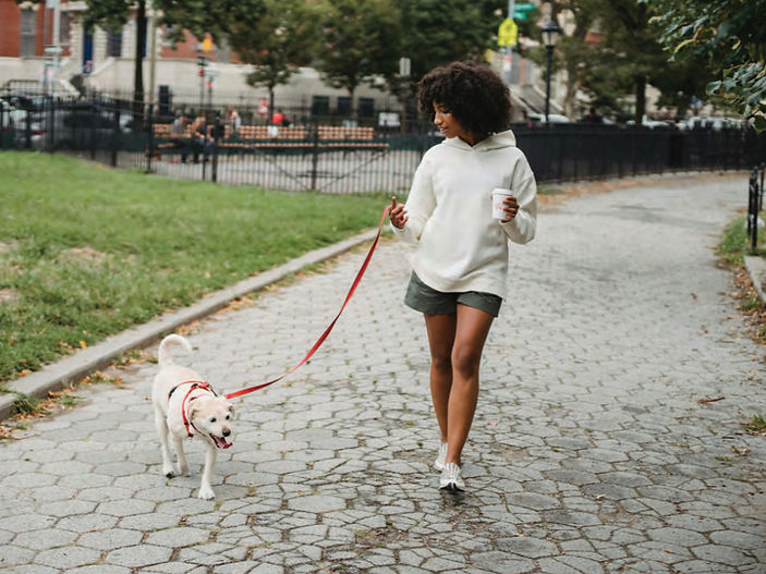 Kick off your 2025 fitness goals by running with your dog