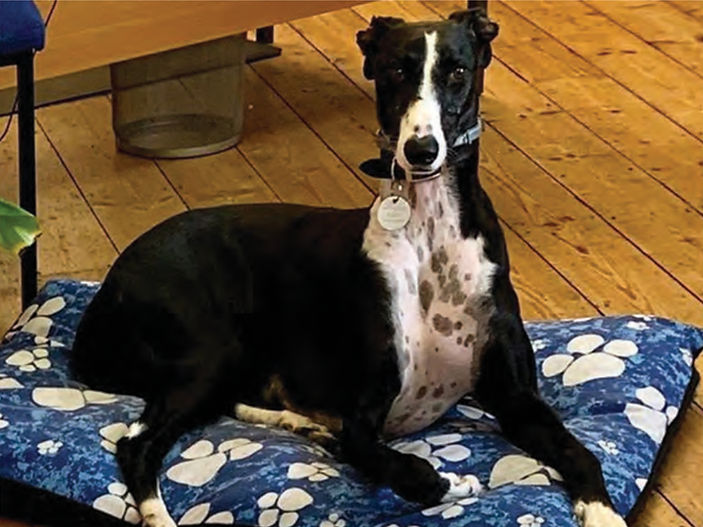 Rags to Riches for Jake