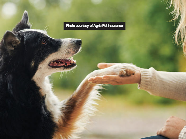 Could pets be the cure to the UK's loneliness epidemic?
