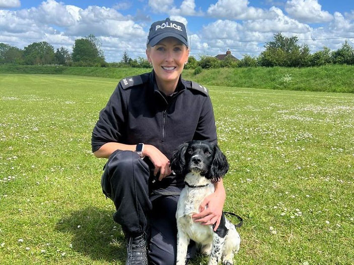 Rescue dog Reggie marks a year as a Wiltshire Police detection dog