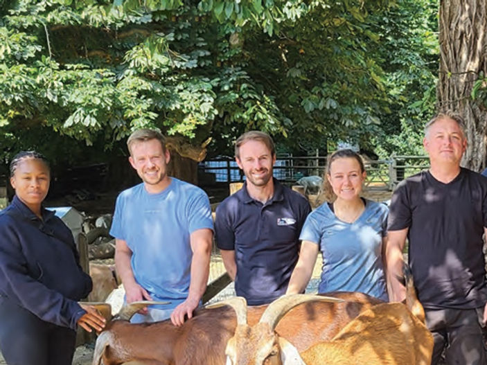 Electricity workers serve breakfast to 100 rescue goats in Kent