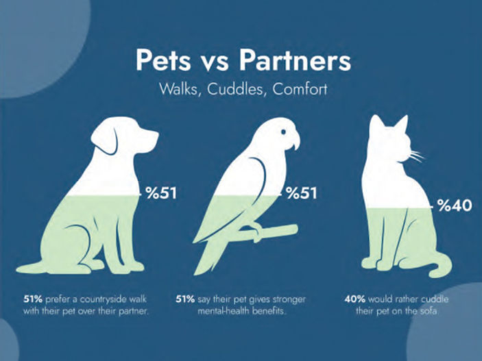Pets vs Partners: Who Do People Really Prefer?