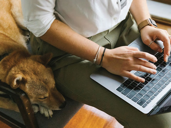 Experts debunk the worst Reddit dog care advice