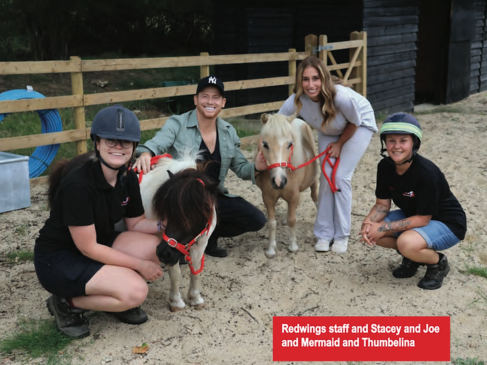 Stacey Solomon and Joe Swashre home ponies from RedwingsHorse Sanctuary