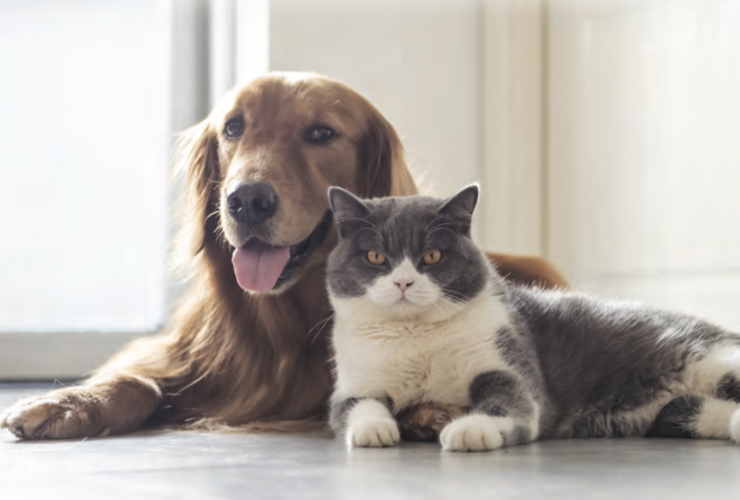 Microchip Database News