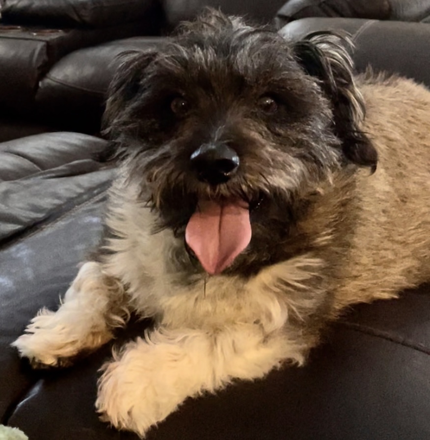 Caroline's dog, Daryl