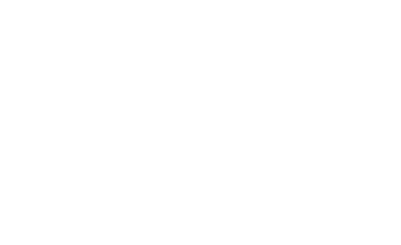 National Experiential logo
