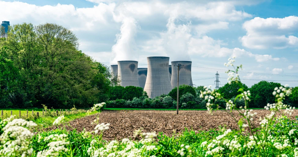 Cooling towers emitting steam beyond trees and a field with white wildflowers under a blue sky.