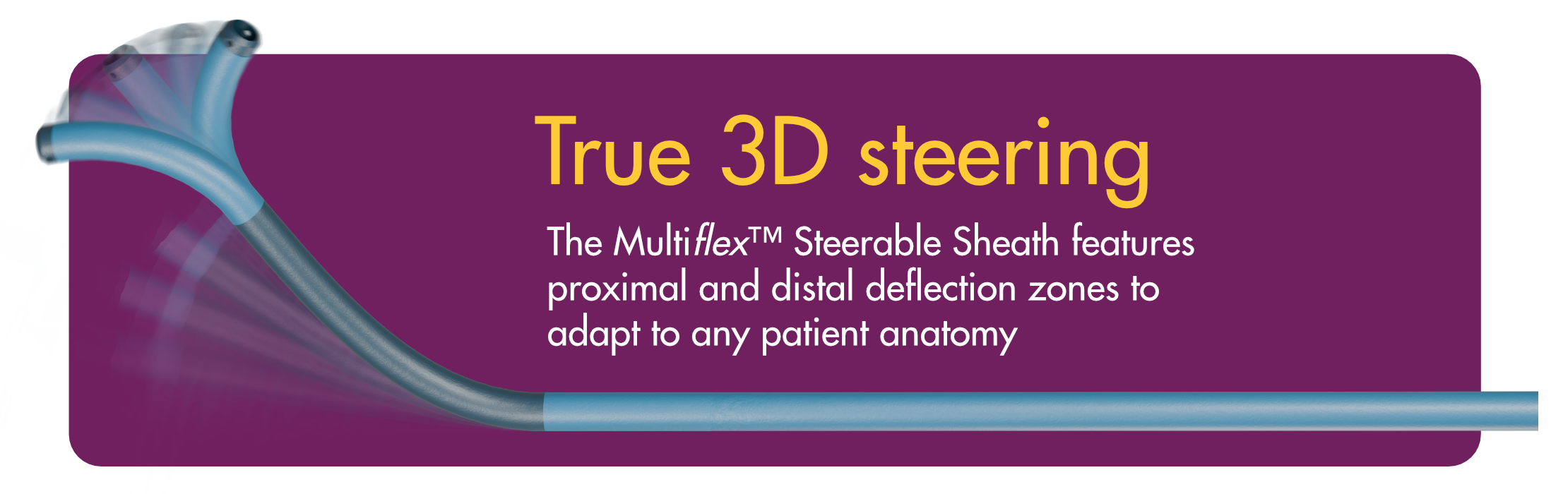 Illustration of a blue steerable sheath showing proximal and distal bending with text on 3D steering.