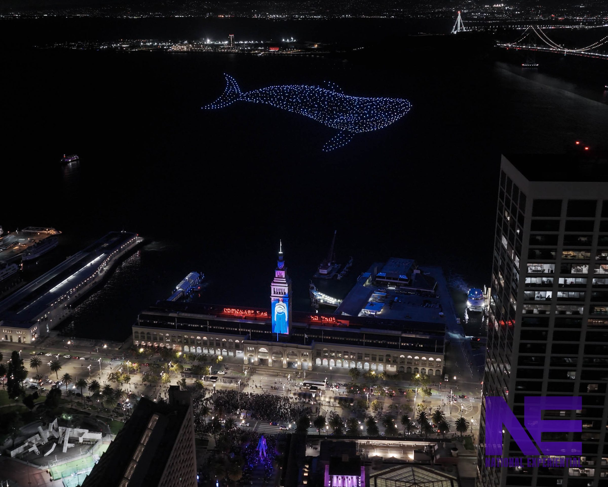 Gamma activation by National Experiential, photo 8